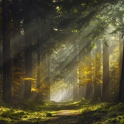 鲍勃体育下载截图