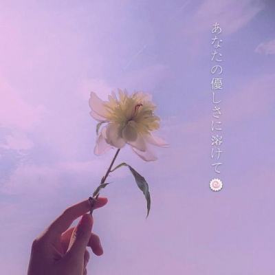 天天中彩票手机版登录